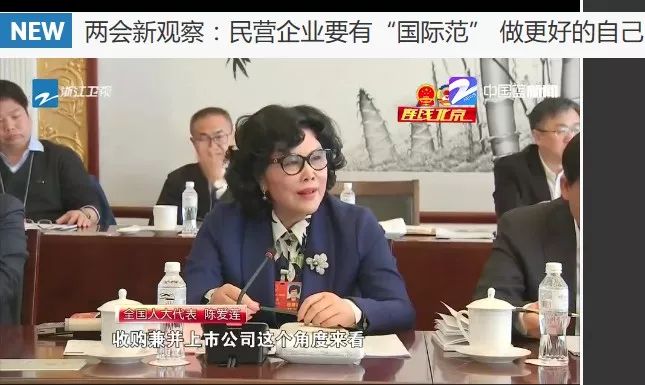 兩會新觀察：民營企業要有“國際範” 做更好的自己